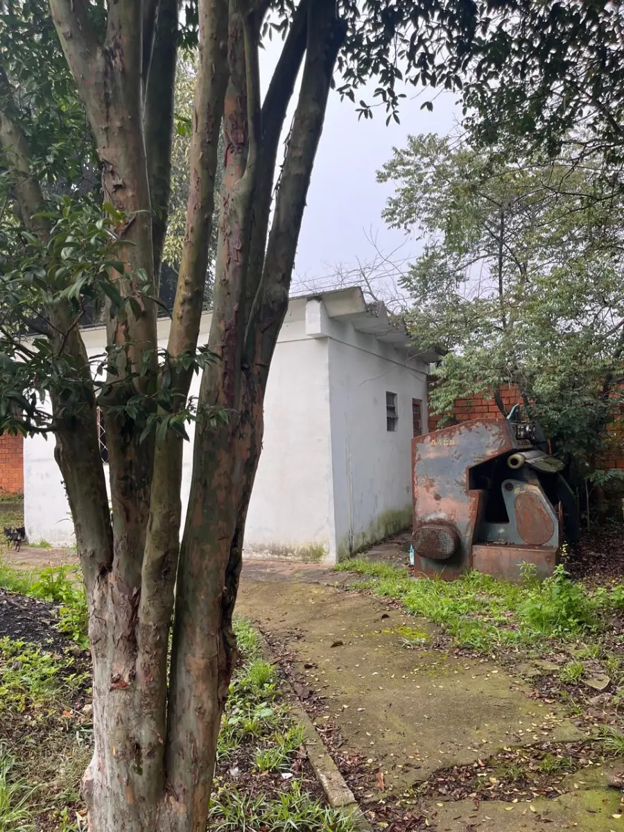 miniatura-2