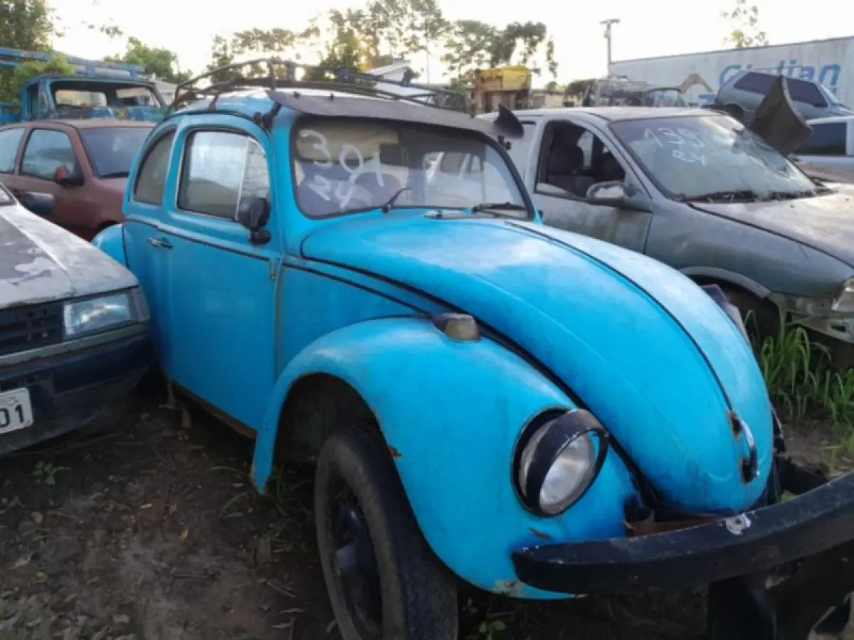 LOTE 0015