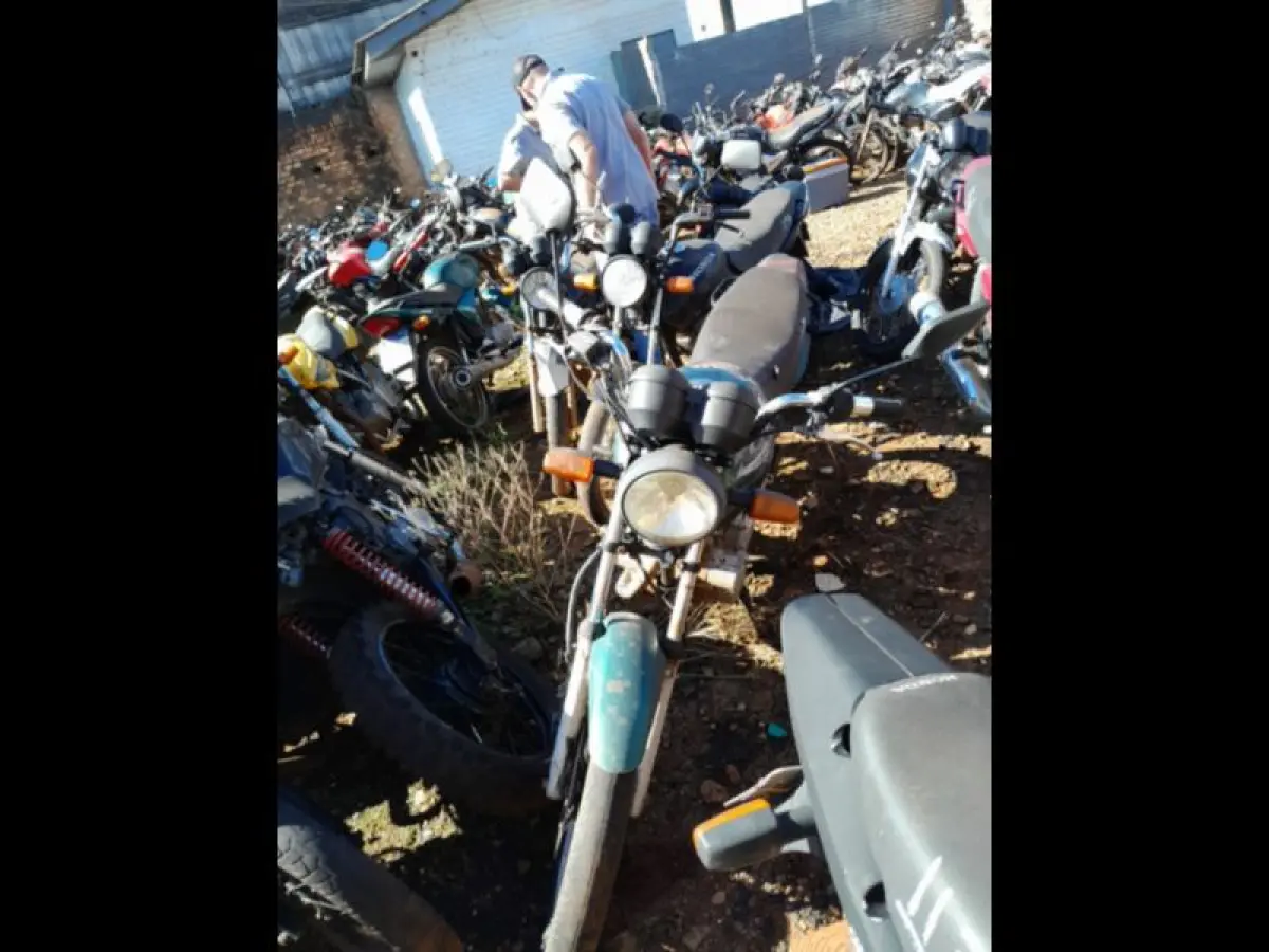 LOTE 0081