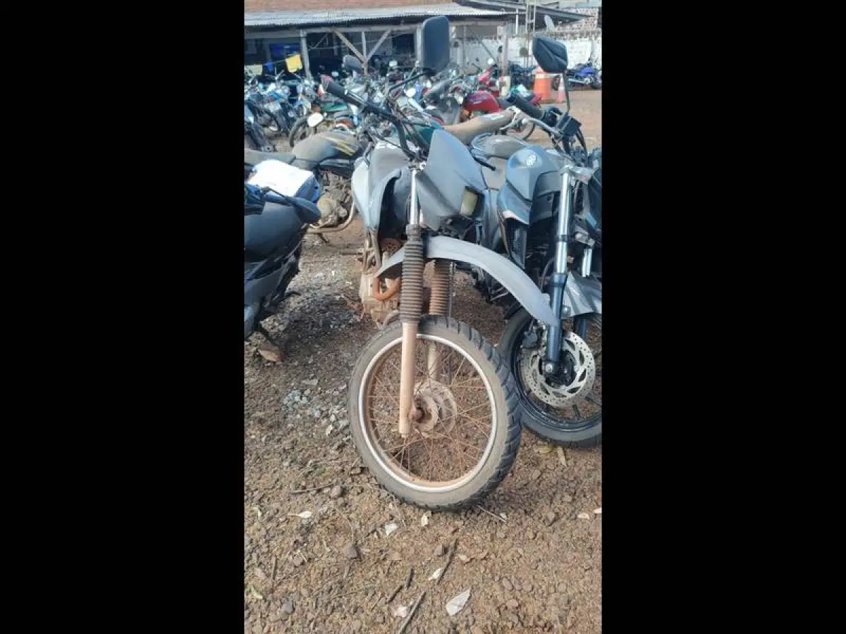 LOTE 0099