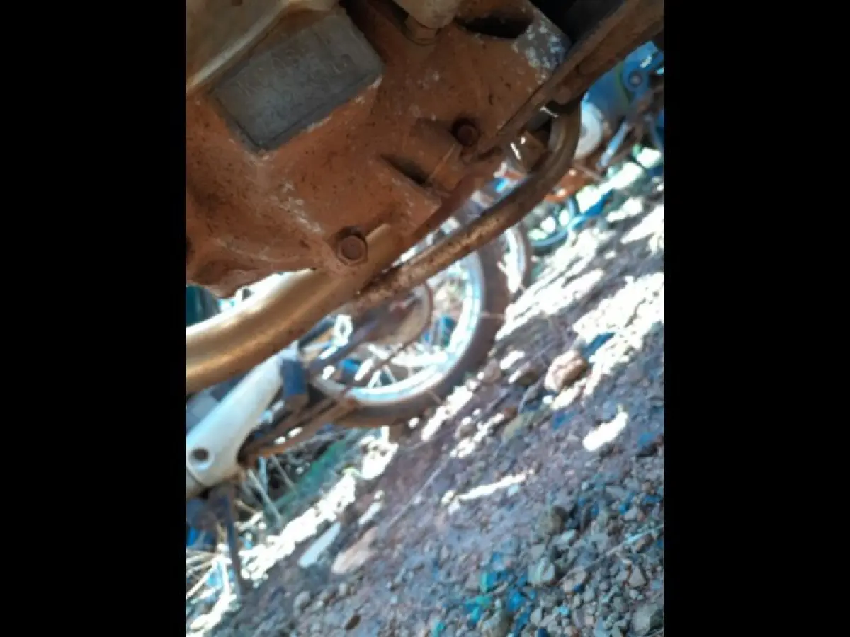 LOTE 0079
