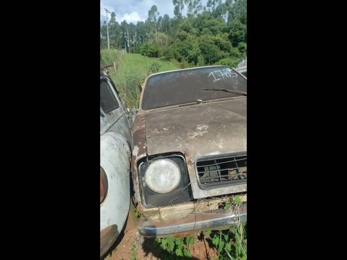 LOTE 0153