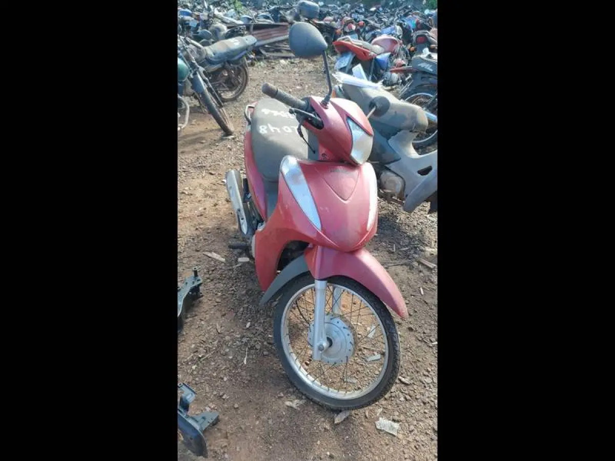 LOTE 0060