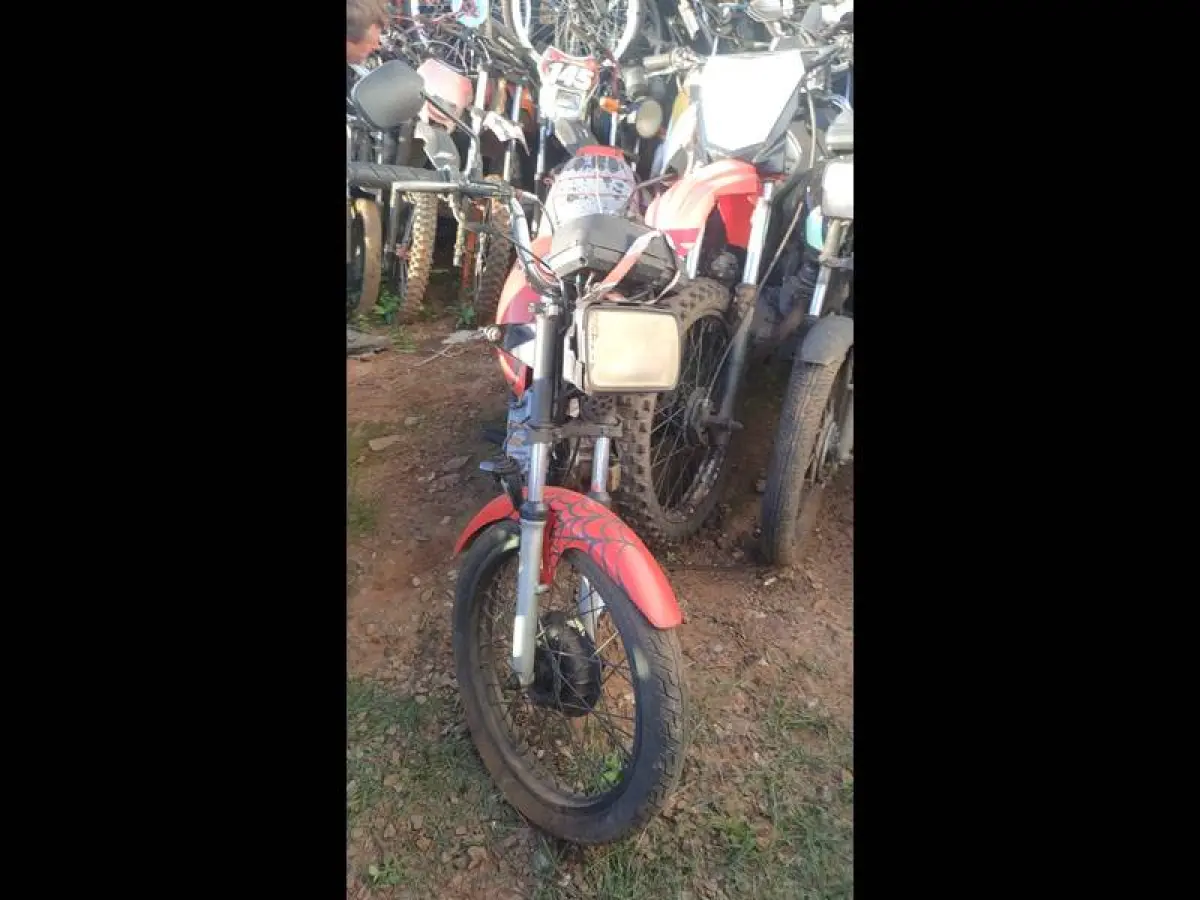 LOTE 0156