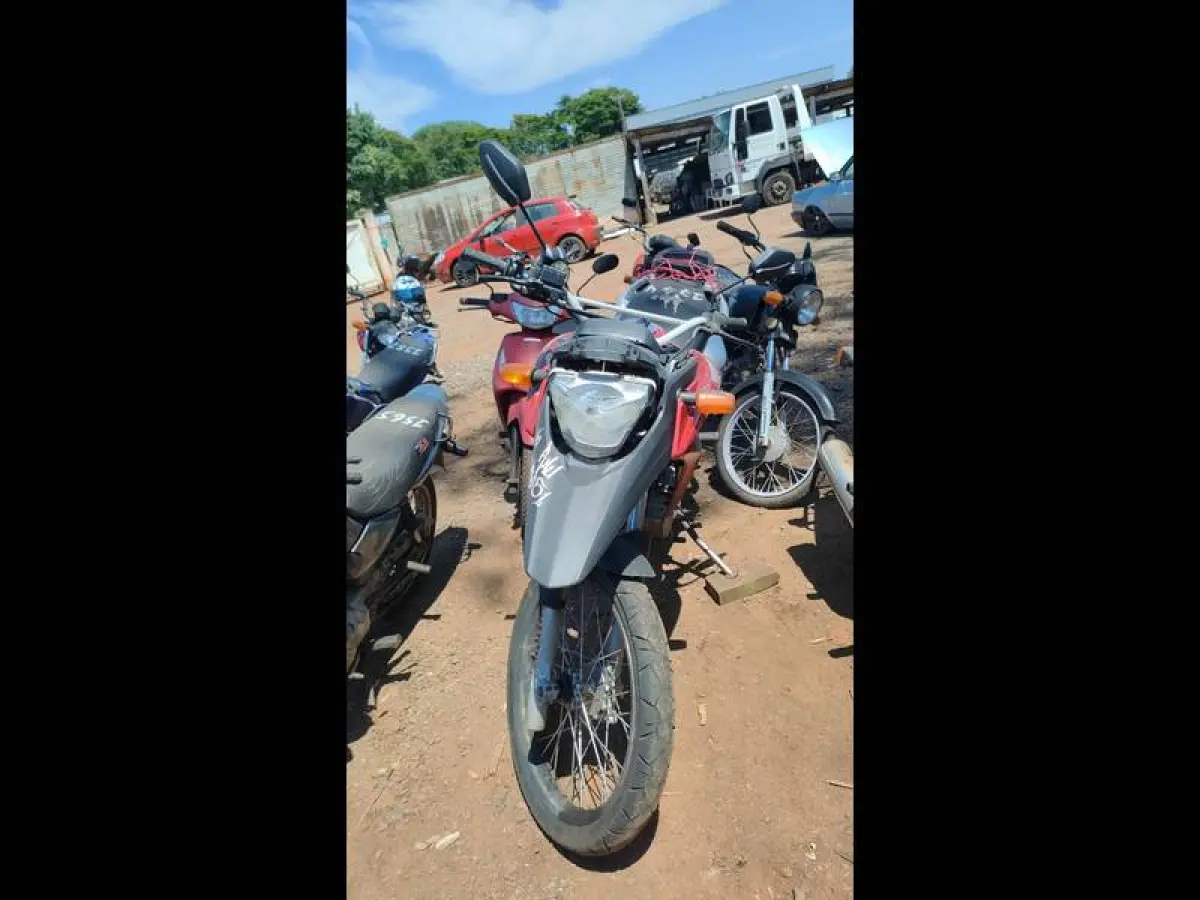 LOTE 0109