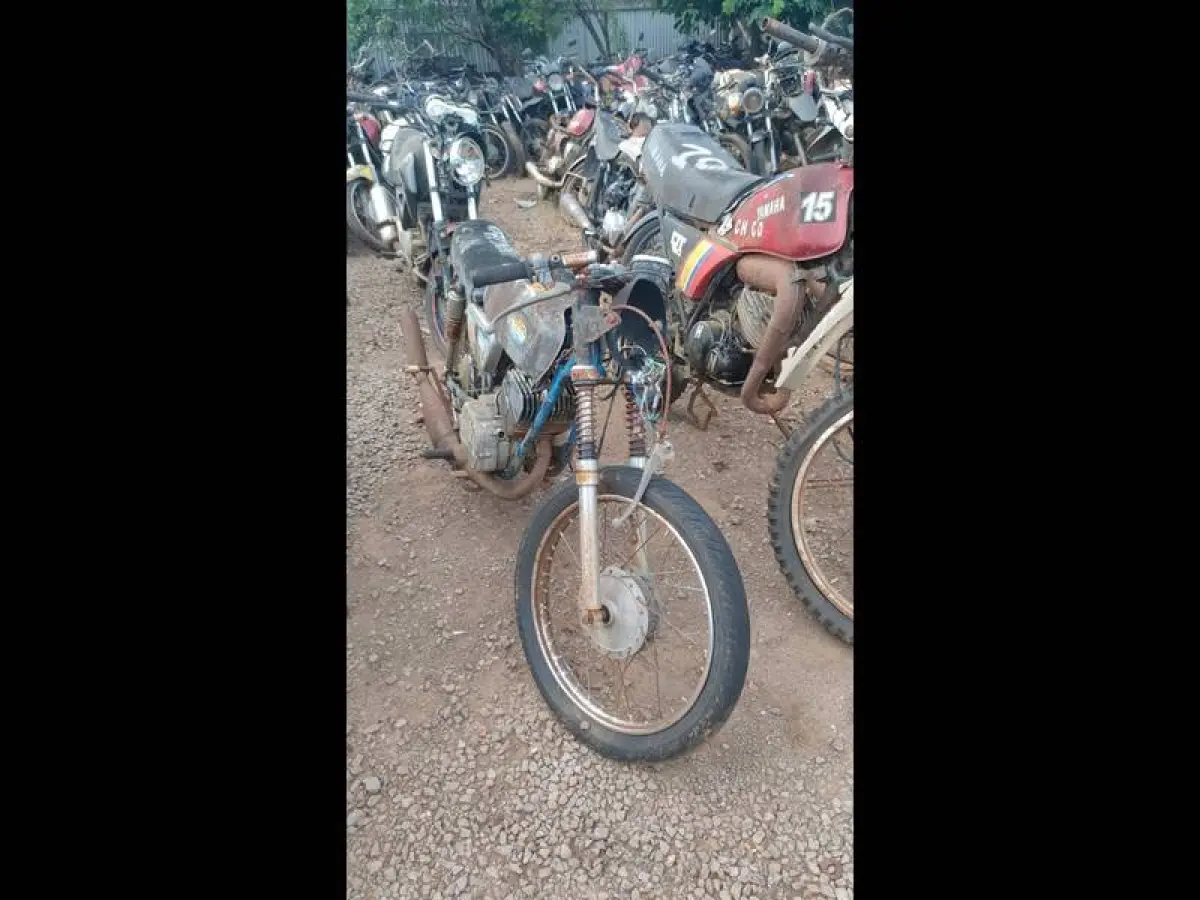 LOTE 0003