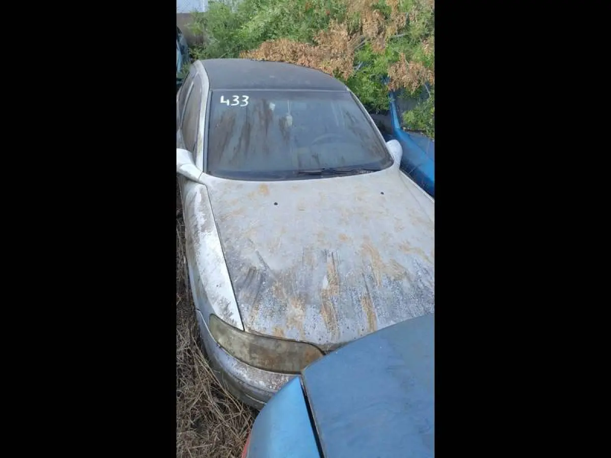 LOTE 0115