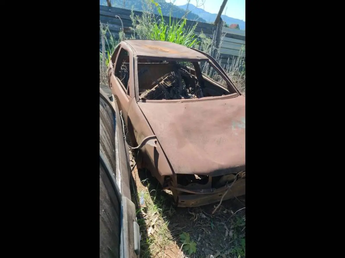 LOTE 0004