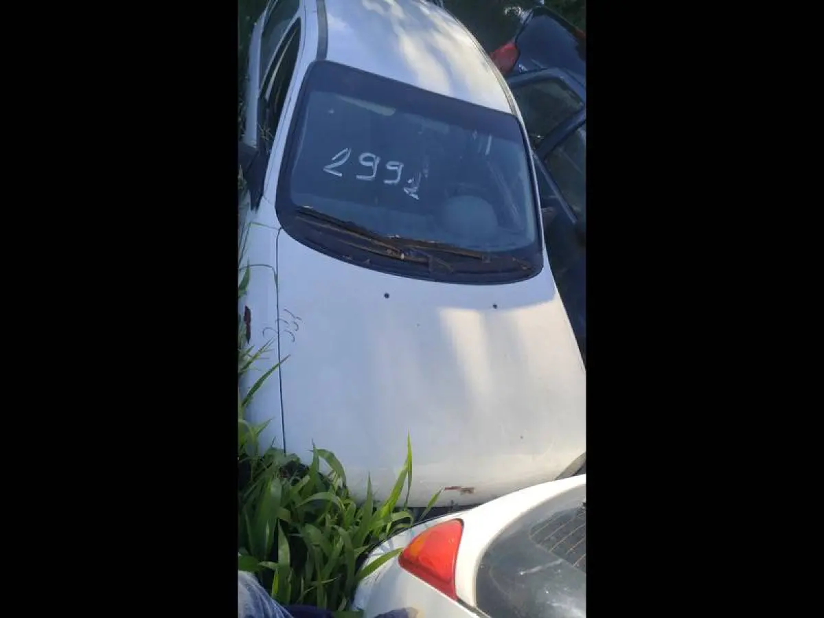LOTE 0169