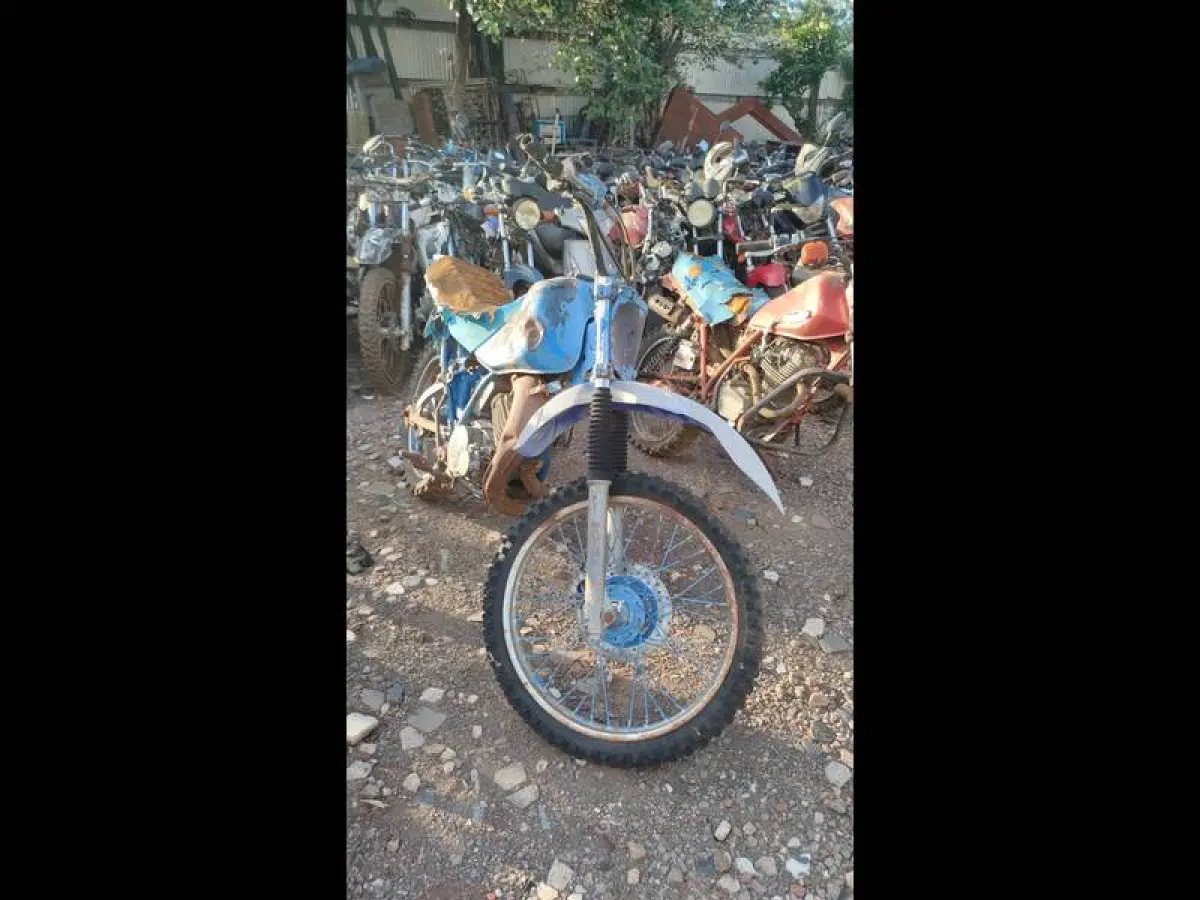 LOTE 0001