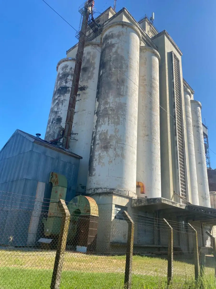 LOTE 000 - Leilão CESA Unidade São Gabriel