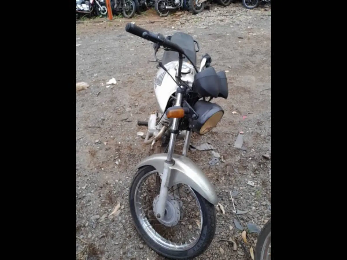 LOTE 0101