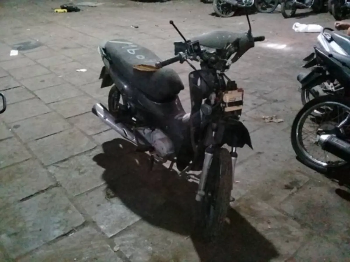 LOTE 0100