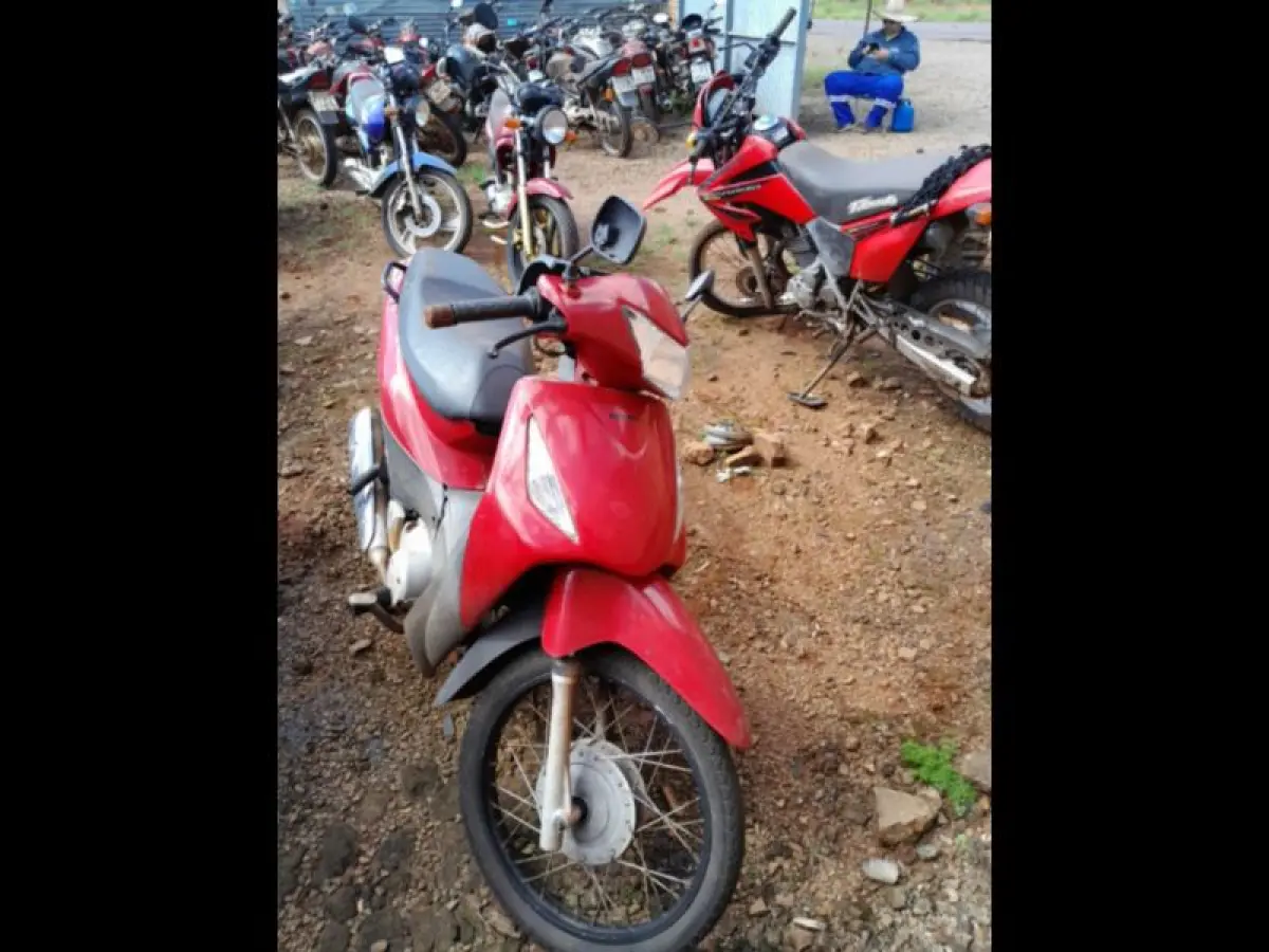 LOTE 0083