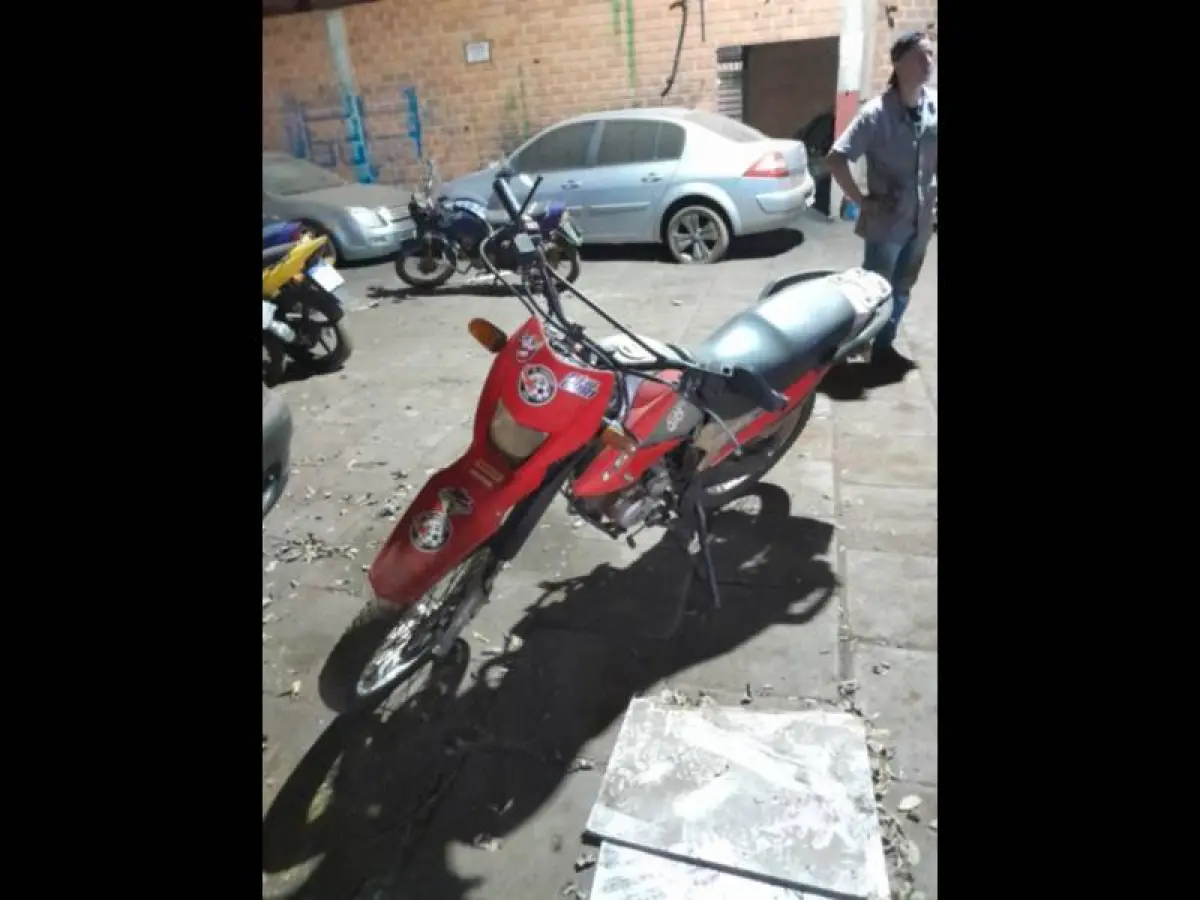 LOTE 0133
