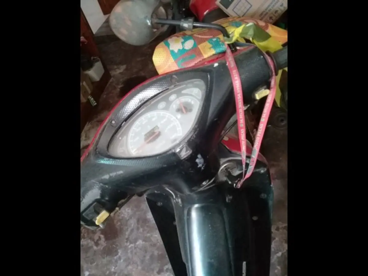 LOTE 0043