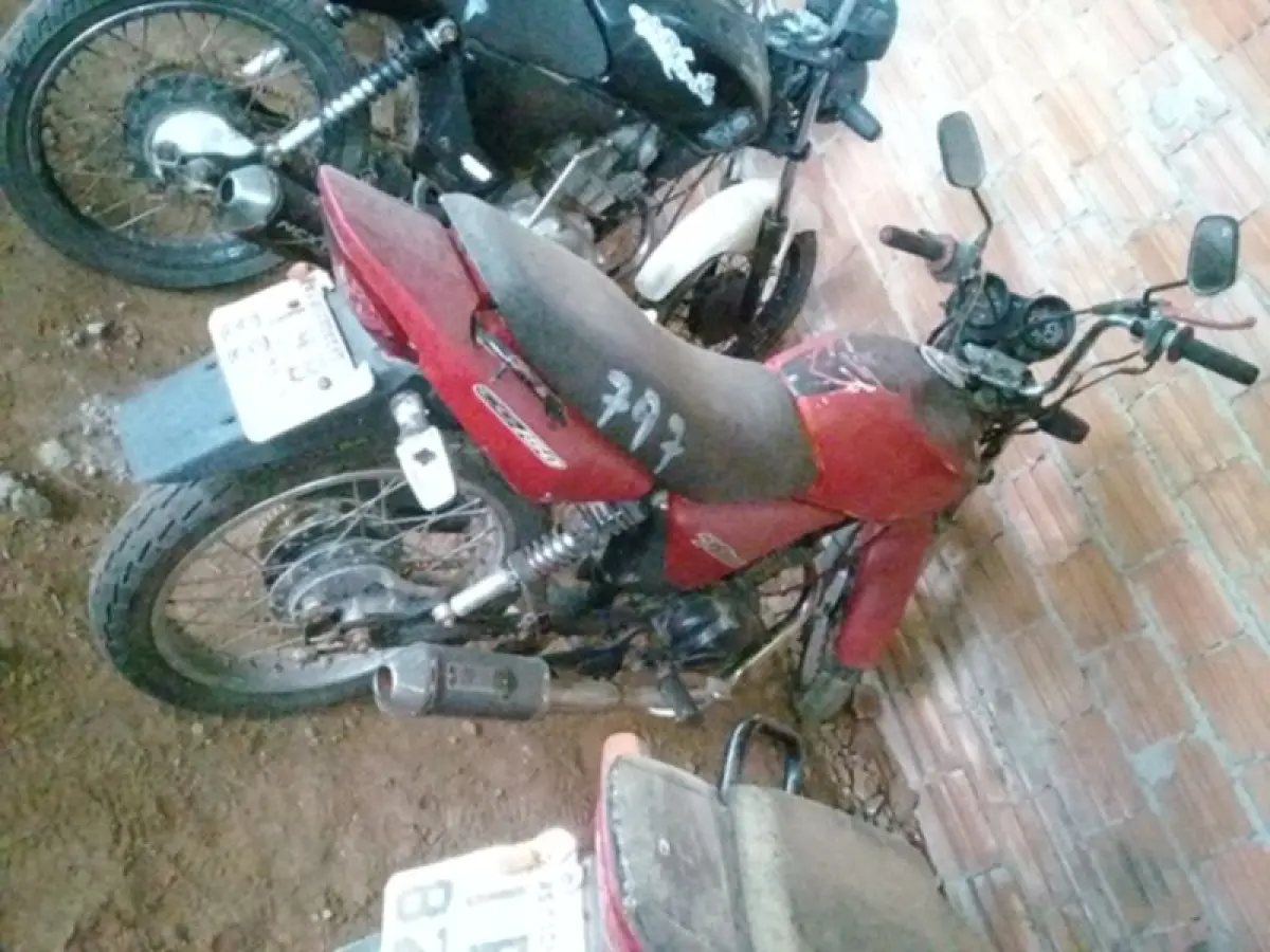 LOTE 0061