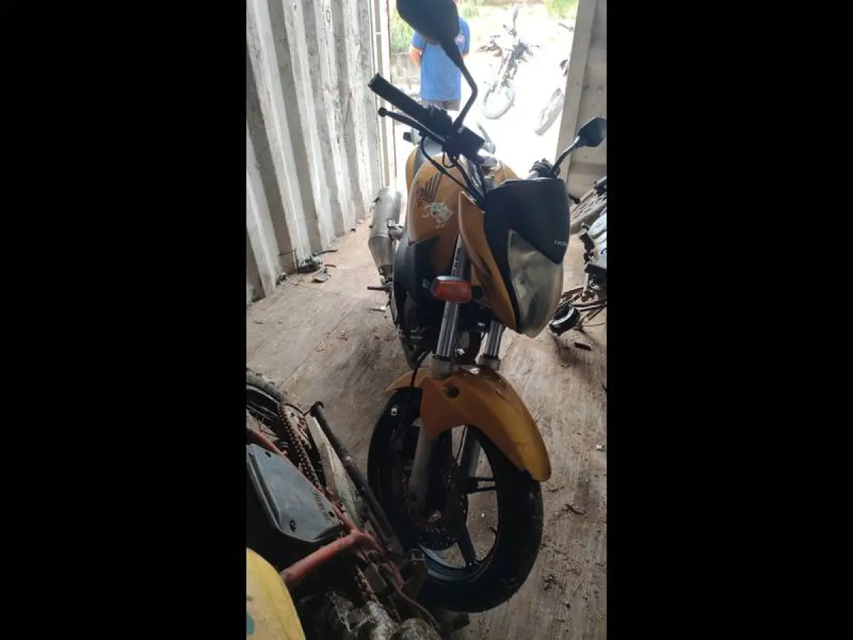 LOTE 0024