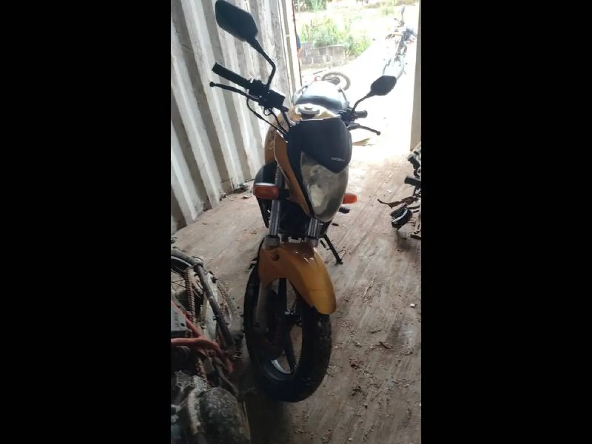 LOTE 0024
