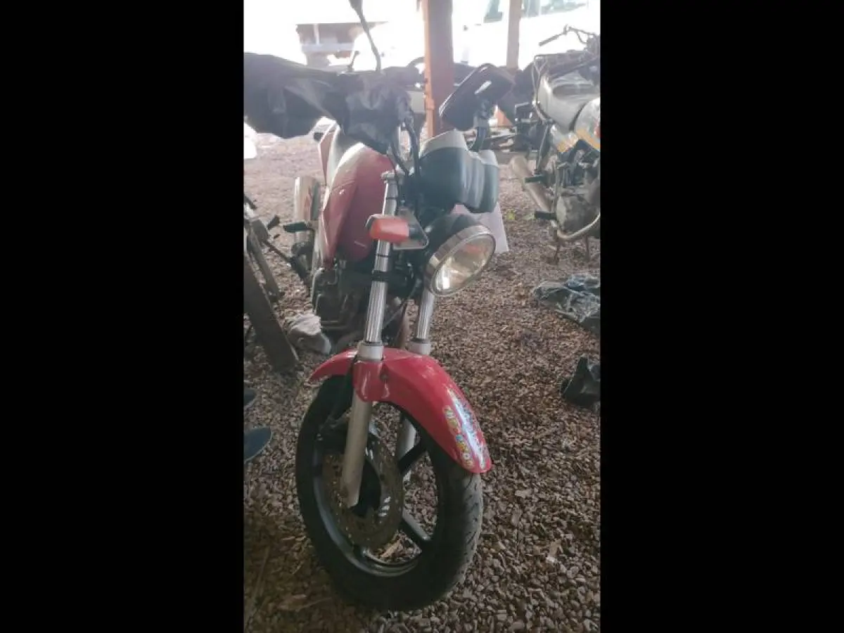 LOTE 0179