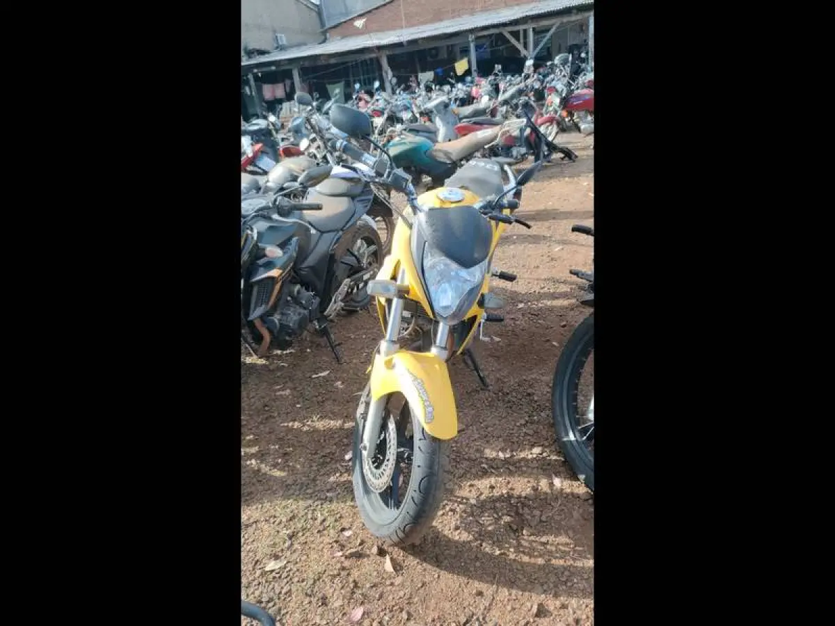 LOTE 0107