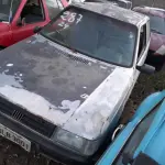 Foto 12