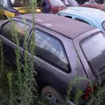 Foto 8