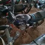 Foto 19