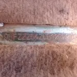 Foto 11