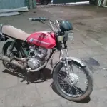 Foto 14