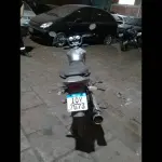 Foto 46