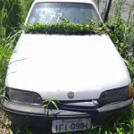 Foto 15