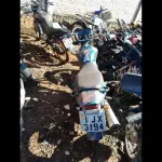 Foto 6
