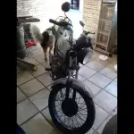 Foto 6