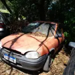 Foto 13