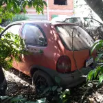 Foto 15