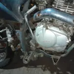 Foto 7