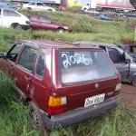 Foto 15