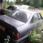 Foto 20