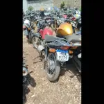 Foto 6