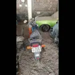Foto 5