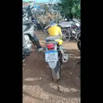 Foto 4